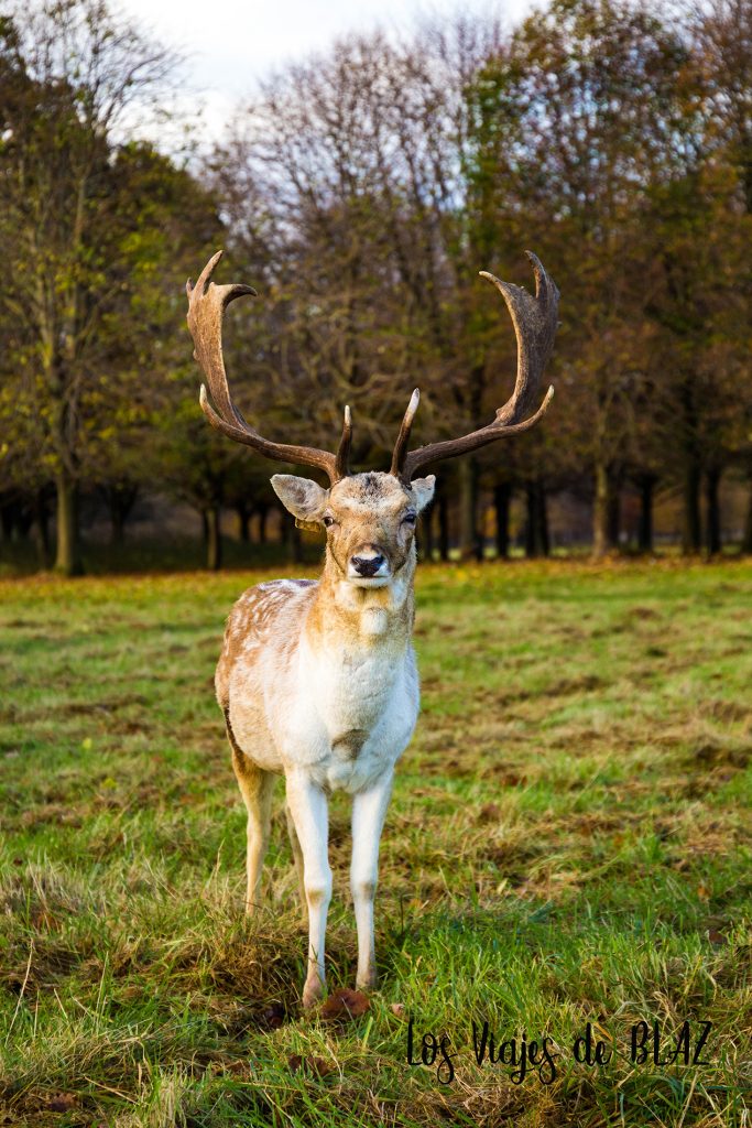 10 lugares que ver en Dublín imprescindibles