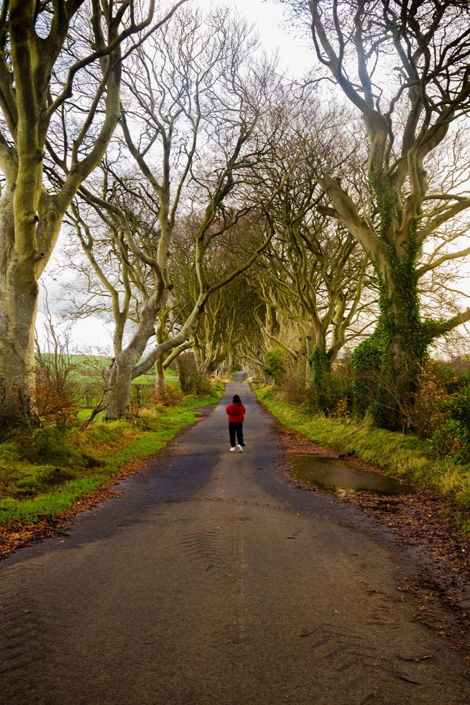 IRLANDA DEL NORTE